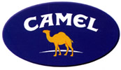 Camel